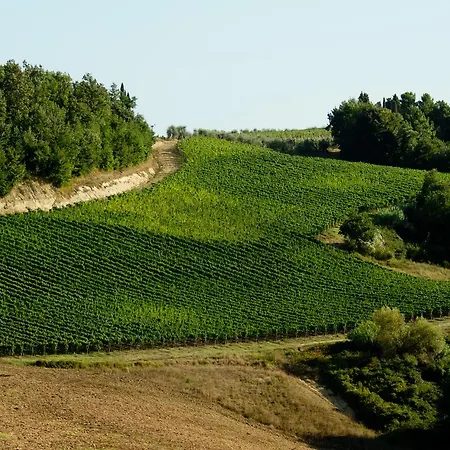ファームステイ Fattoria Fibbiano