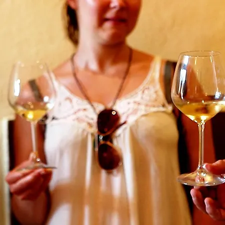 Fattoria Fibbiano * Terricciola