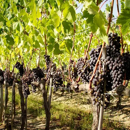 Fattoria Fibbiano ファームステイ *
