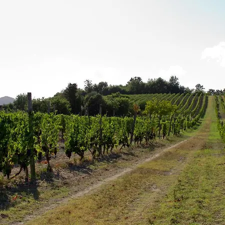 Fattoria Fibbiano ファームステイ Terricciola