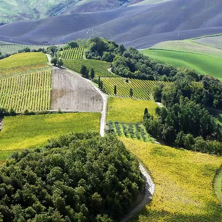 Fattoria Fibbiano *