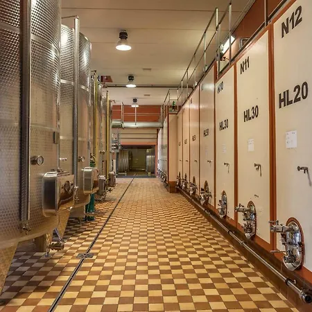 Fattoria Fibbiano ファームステイ